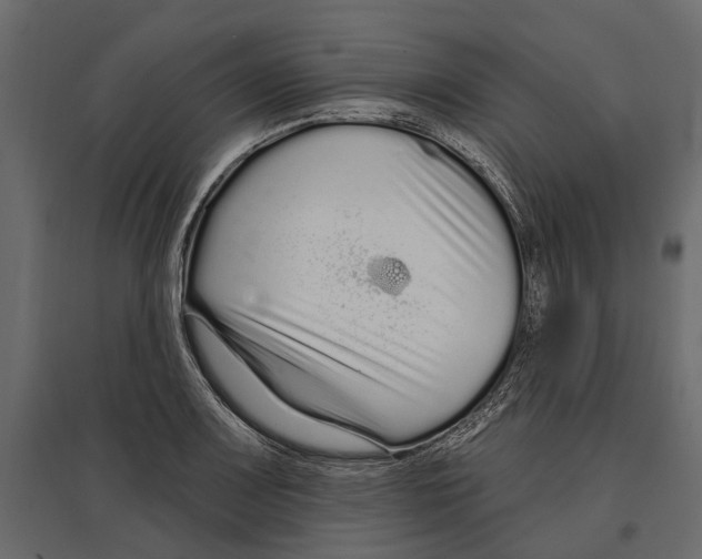 X0000096991083200803071048