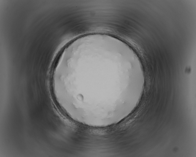 X0000096991086200803071048