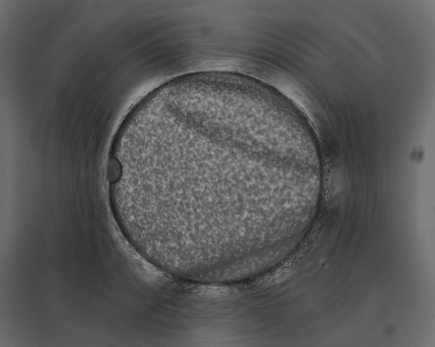 X0000096991088200803071048