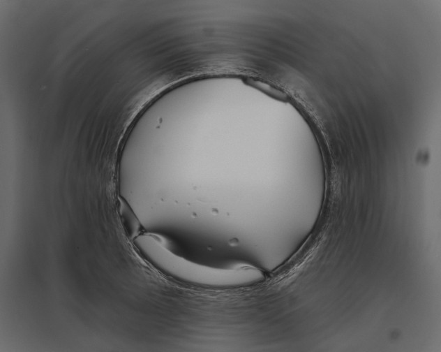 X0000096991089200803071048