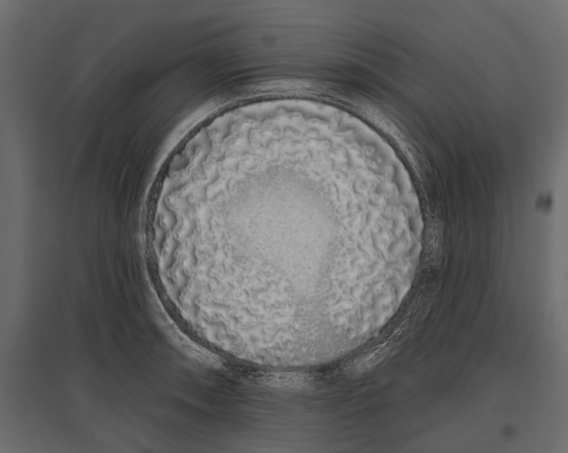 X0000096991090200803071048