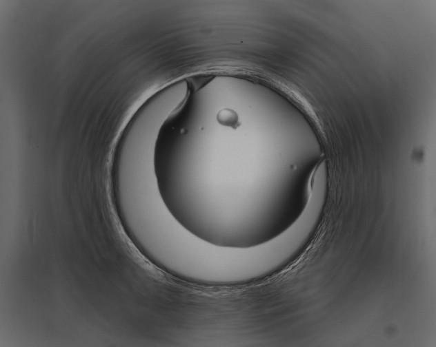 X0000096991091200803071048