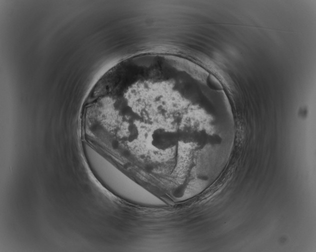 X0000096991095200803071048