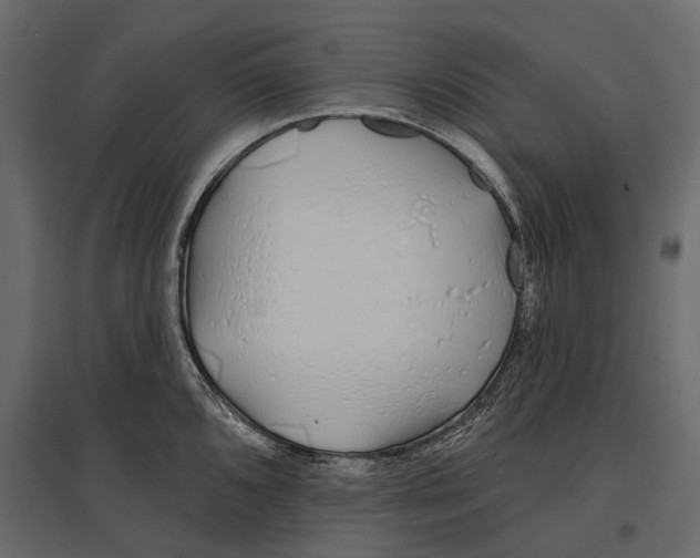 X0000096991096200803071047