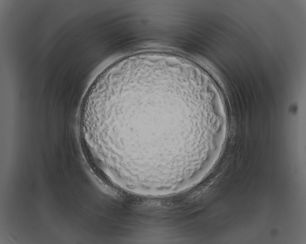 X0000096991098200803071047