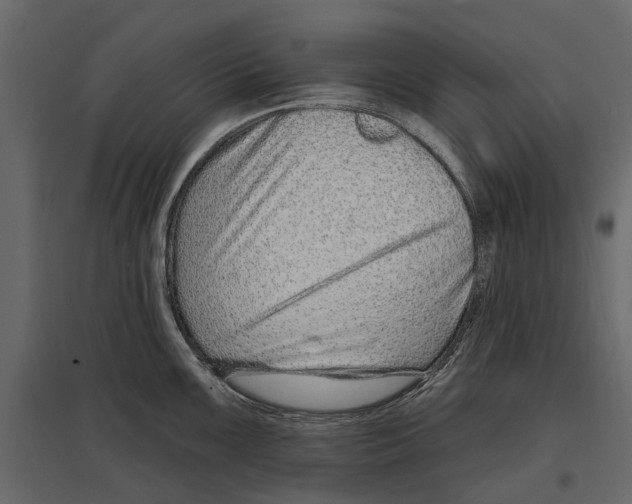 X0000096991099200803071047