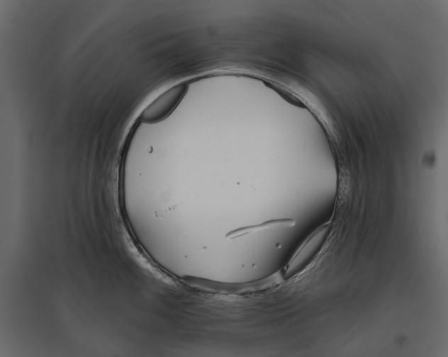 X0000096991100200803071047