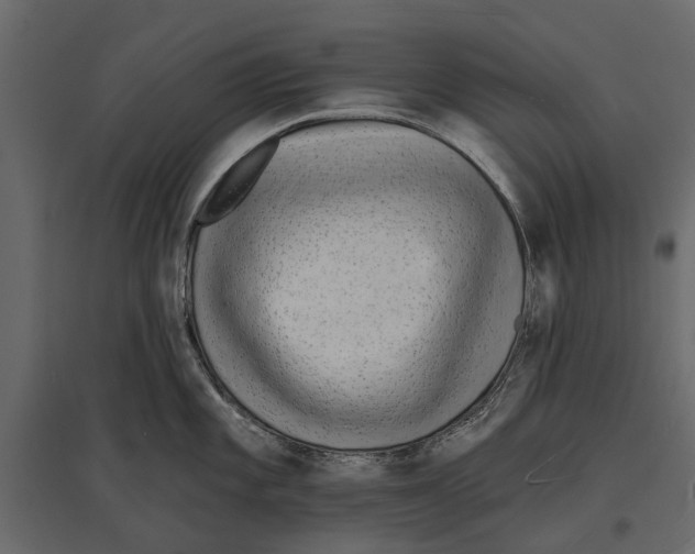 X0000096991101200803071047