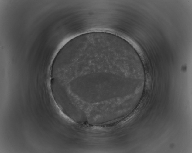 X0000096991102200803071047