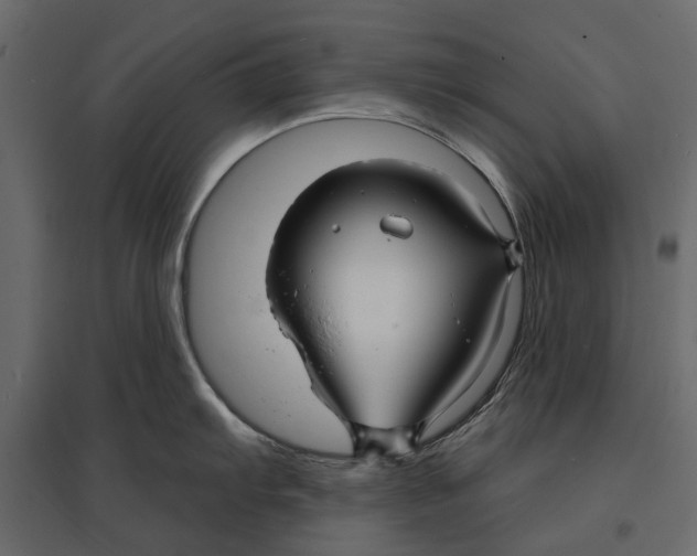 X0000096991103200803071047