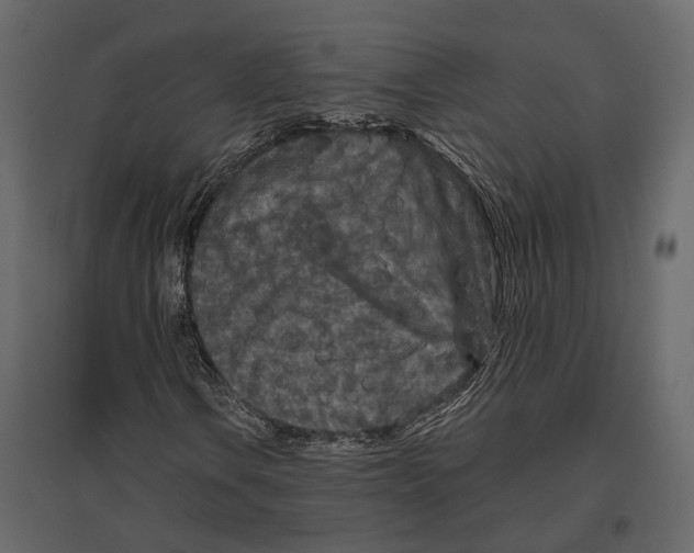 X0000096991106200803071047