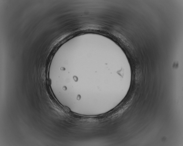 X0000096991113200803071047