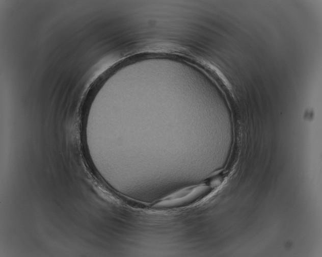 X0000096991114200803071047