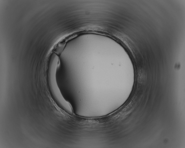 X0000096991115200803071047