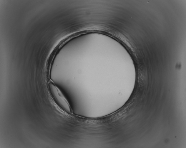 X0000096991116200803071047