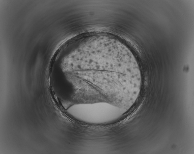 X0000096991117200803071047