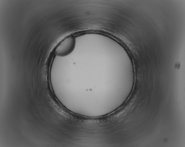 X0000096991118200803071047