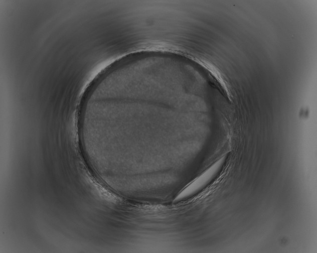 X0000096991120200803071047