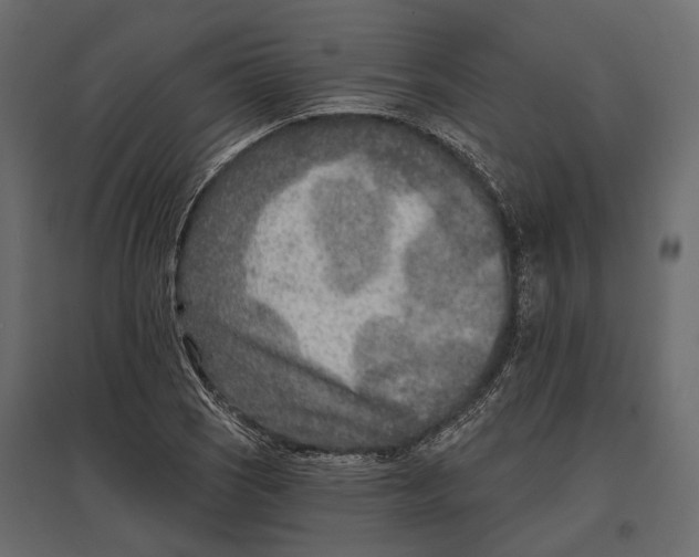 X0000096991121200803071047