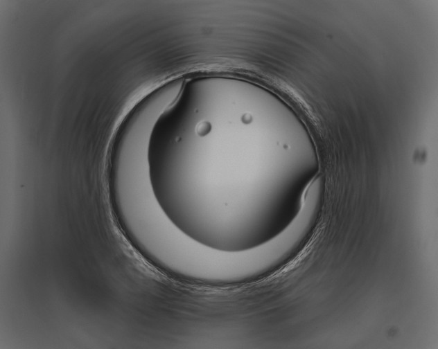 X0000096991122200803071047