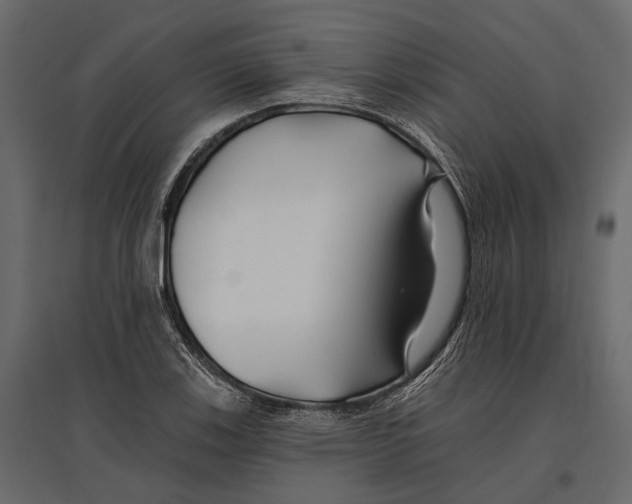 X0000096991123200803071047