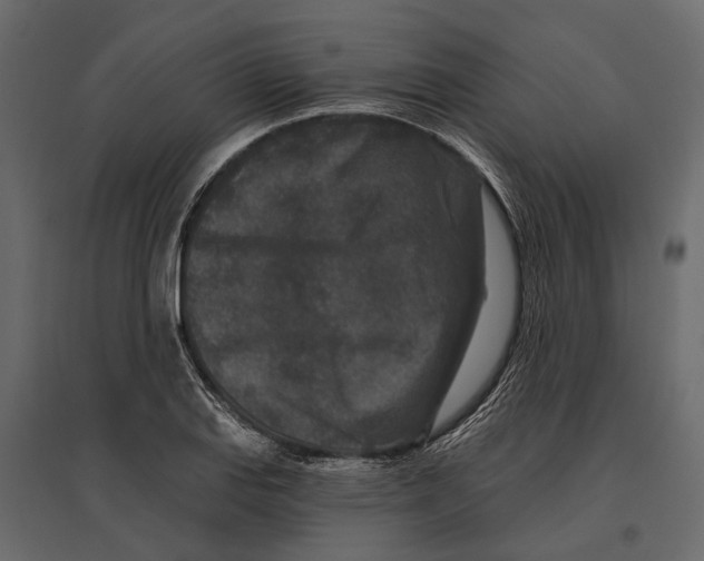 X0000096991127200803071047