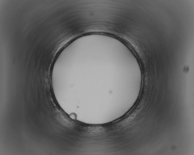 X0000096991129200803071047