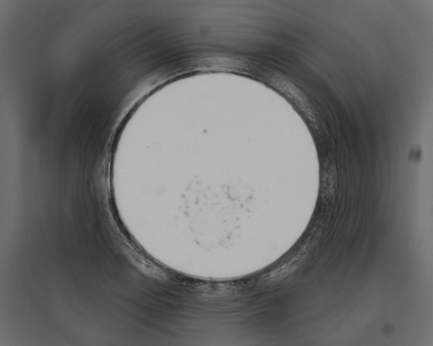 X0000096991130200803071047