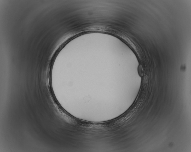 X0000096991131200803071047