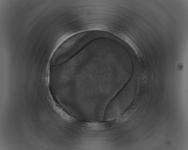 X0000096991132200803071047