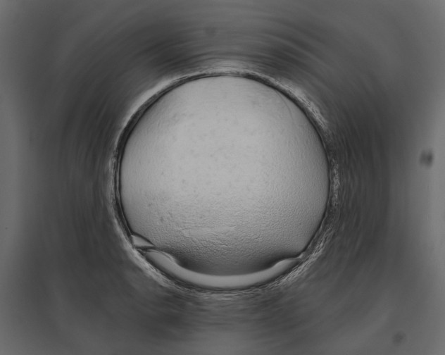 X0000096991134200803071047