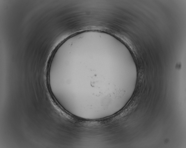 X0000096991135200803071047