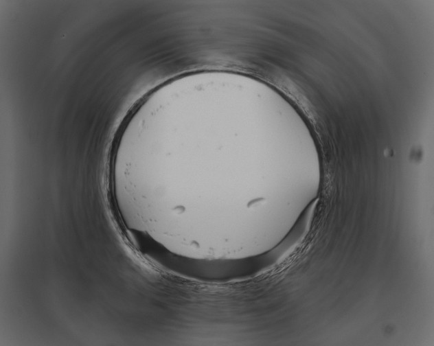 X0000096991136200803071047