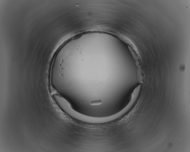 X0000096991138200803071047