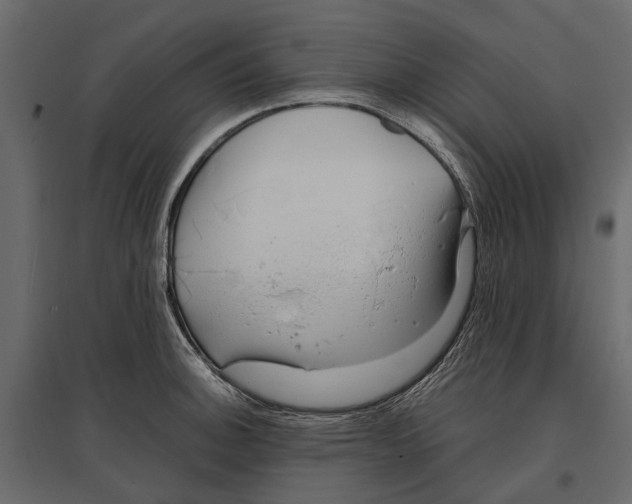 X0000096991140200803071047