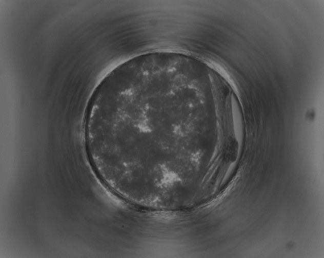 X0000096991141200803071047