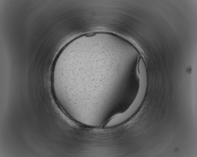 X0000096991142200803071047