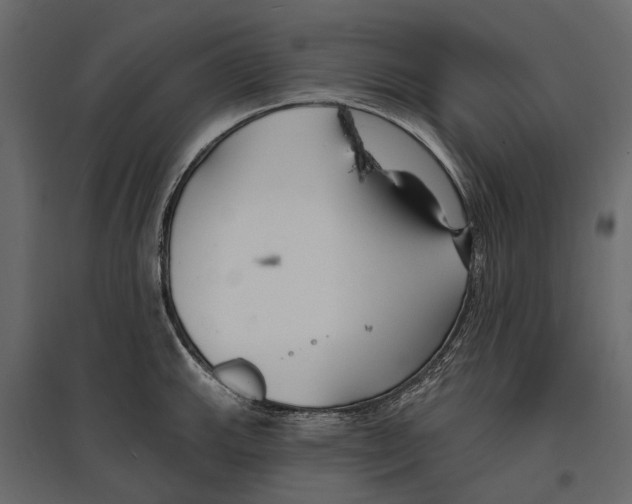 X0000096991143200803071047