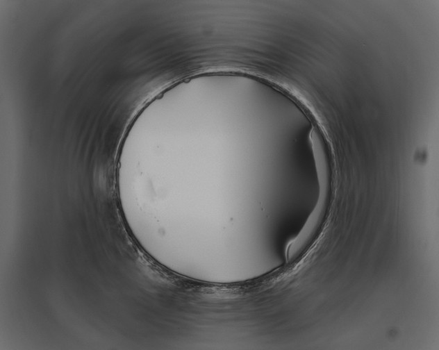 X0000096991145200803071047