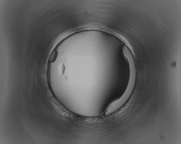 X0000096991146200803071047