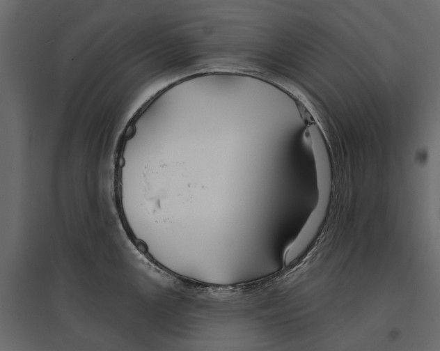 X0000096991147200803071047