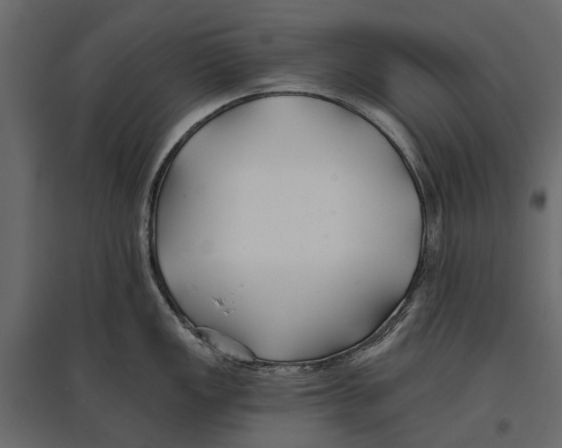 X0000096991149200803071047