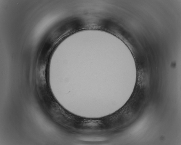 X0000096991150200803071047