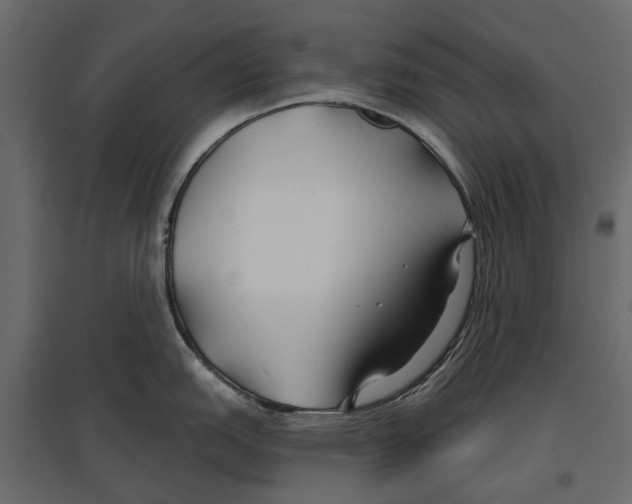 X0000096991151200803071047