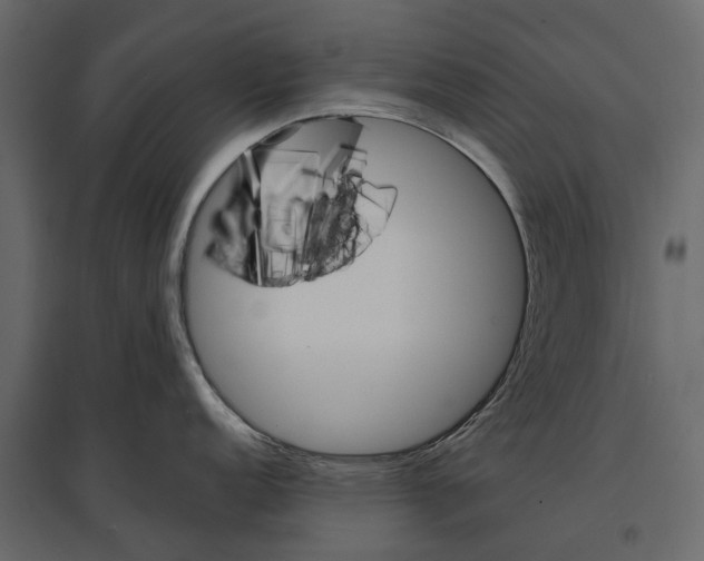 X0000096991152200803071047