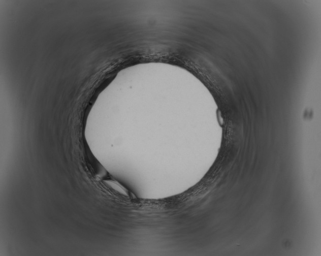 X0000096991153200803071047