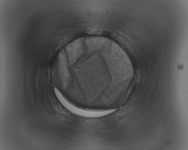 X0000096991154200803071047