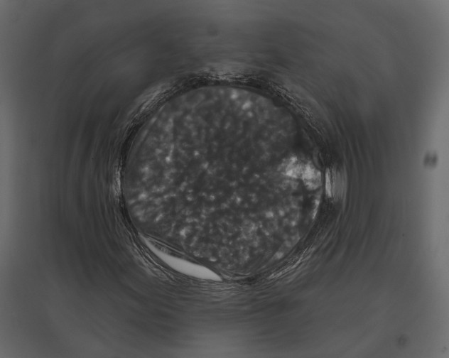 X0000096991155200803071047