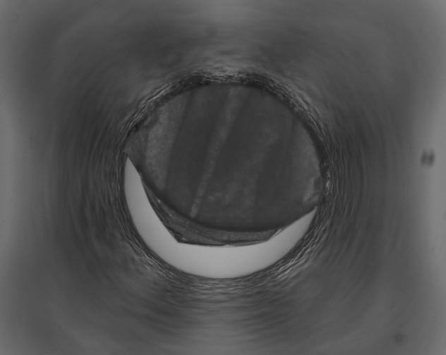 X0000096991156200803071047