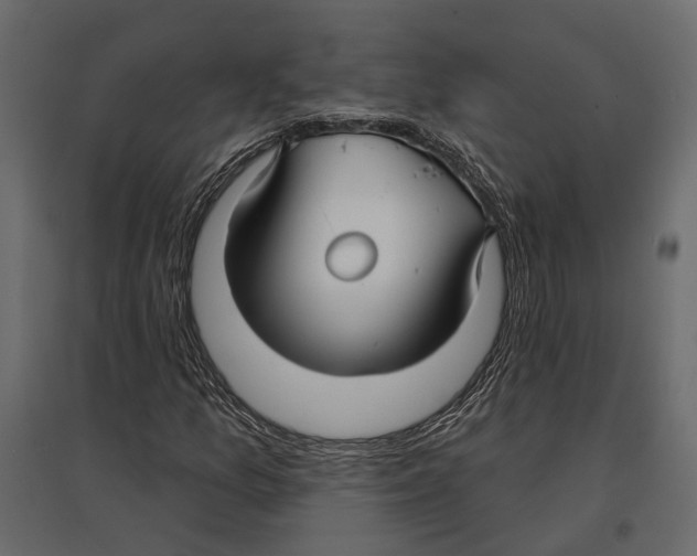 X0000096991157200803071047